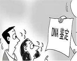 开封人民医院可以做DNA亲子鉴定吗，开封医院做亲子鉴定需要什么流程
